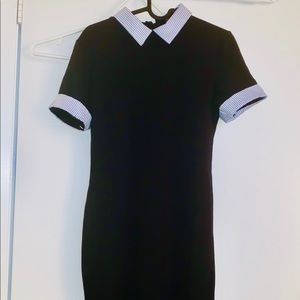 Collared Dress